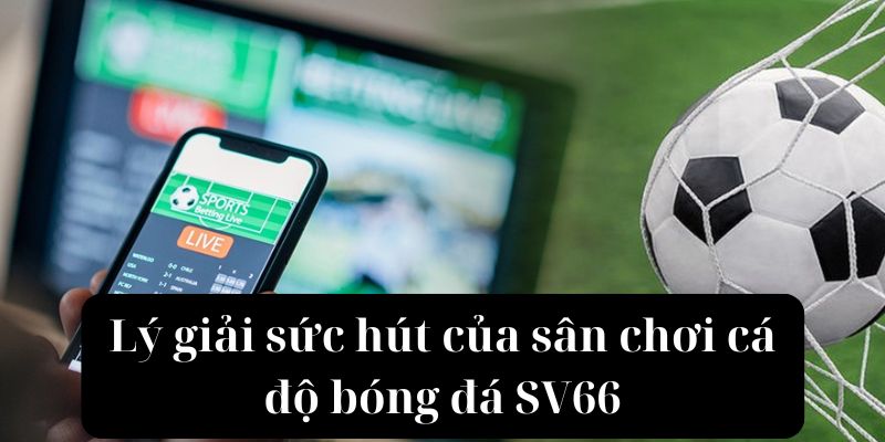 Lý giải sức hút của sân chơi cá độ bóng đá SV66