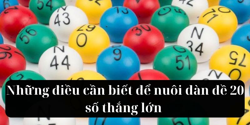 Những điều cần biết để nuôi dàn đề 20 số thắng lớn